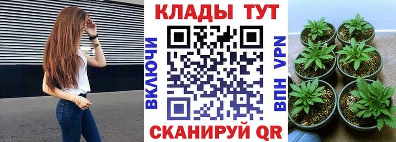 Виды наркотиков купить Губаха Кокаин omg сайт Канабис