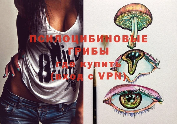 PSILOCYBIN Балабаново