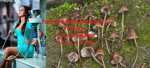 PSILOCYBIN Балабаново