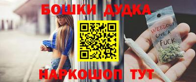 индика Лесосибирск
