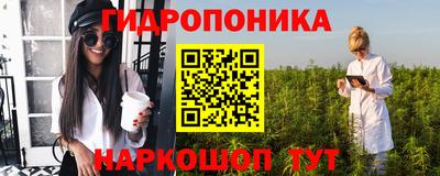 индика Лесосибирск