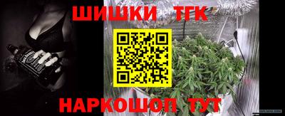 индика Лесосибирск