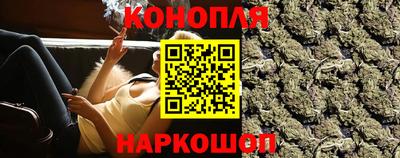 индика Лесосибирск