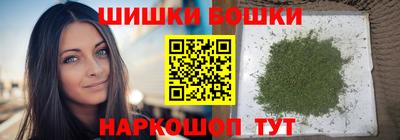 индика Лесосибирск
