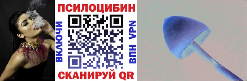 где купить наркоту  Губаха  Галлюциногенные грибы мицелий 