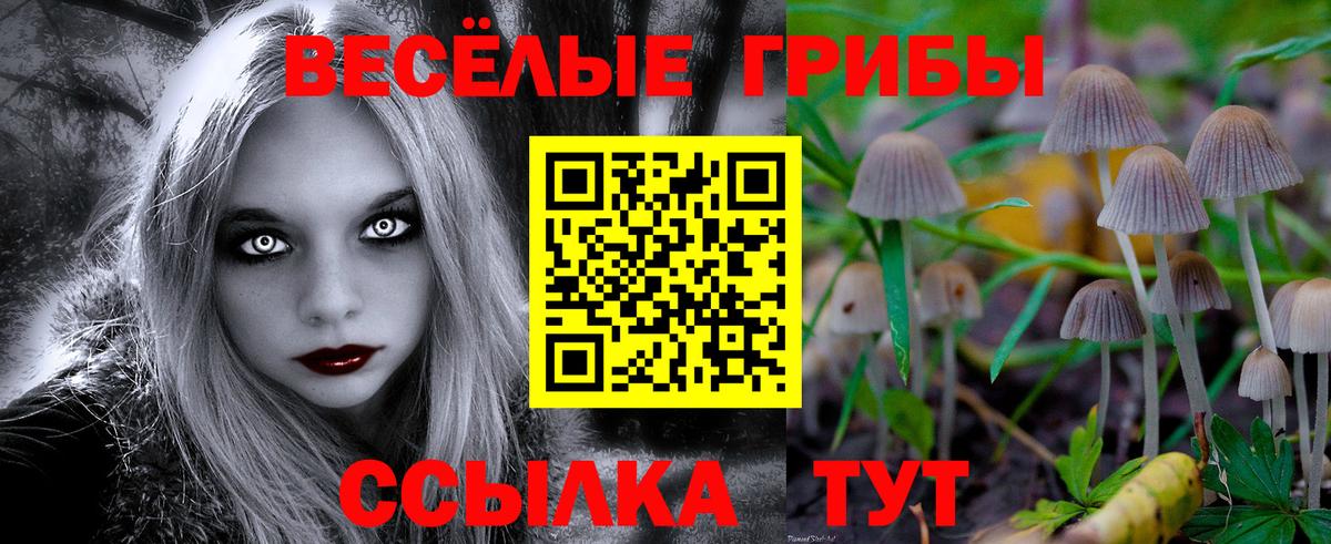 Псилоцибиновые грибы MAGIC MUSHROOMS Губаха