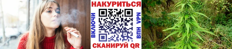 Бошки марихуана Ganja Губаха